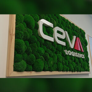 wooden box with natural moss Trnava