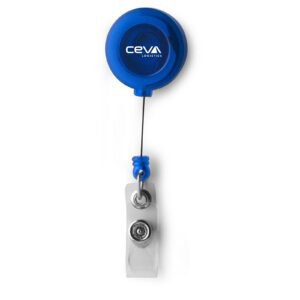 ski pass blue